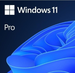 Windows 11 Pro / Professional 32/64 Bit KEY